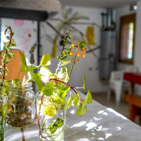 Eiru Hostel Santa Rosa de Calamuchita Dış mekan fotoğraf